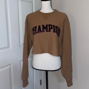 Champion Crop Top Sweater